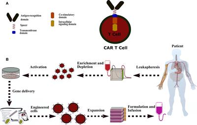 Chimeric Antigen Receptor Based Therapy as a Potential Approach in Autoimmune Diseases: How Close Are We to the Treatment?